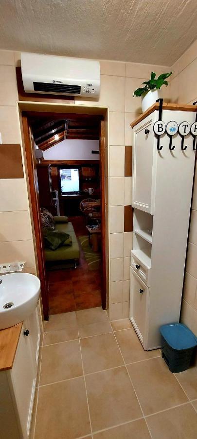 Studio Apartman Buteo 亚斯特雷巴斯科 外观 照片