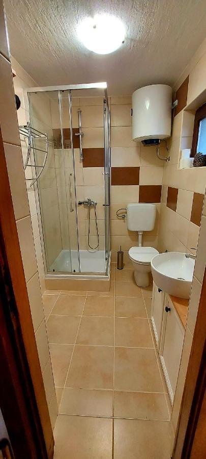 Studio Apartman Buteo 亚斯特雷巴斯科 外观 照片