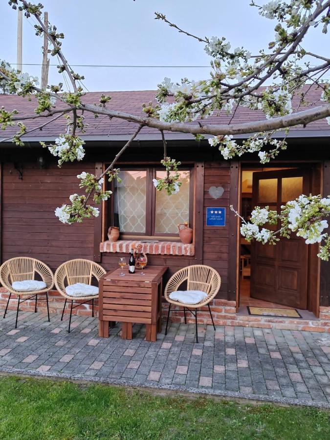 Studio Apartman Buteo 亚斯特雷巴斯科 外观 照片