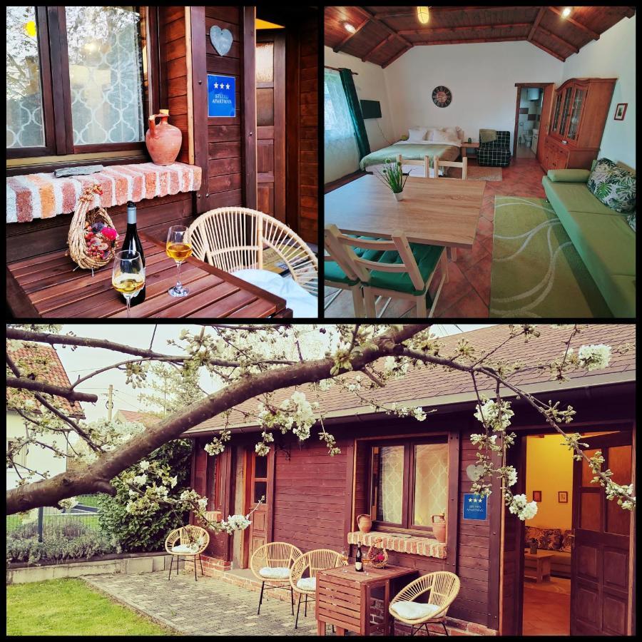 Studio Apartman Buteo 亚斯特雷巴斯科 外观 照片