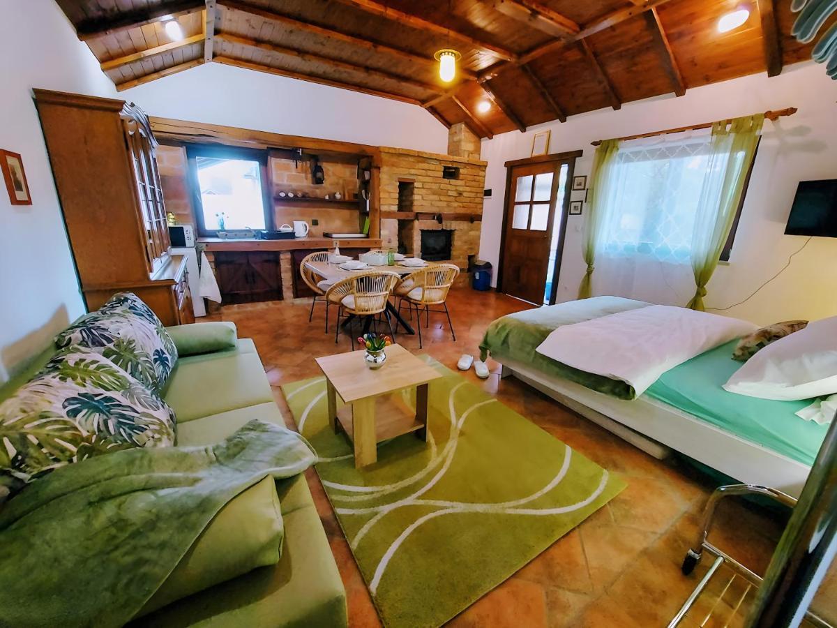 Studio Apartman Buteo 亚斯特雷巴斯科 外观 照片